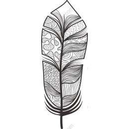 Black and White Decorative Feather