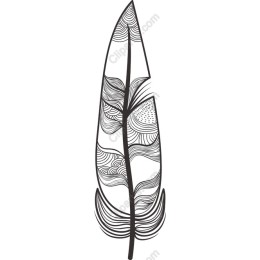 Intricate Feather