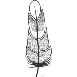 Elegant Feather