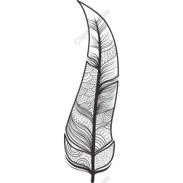 Elegant Feather