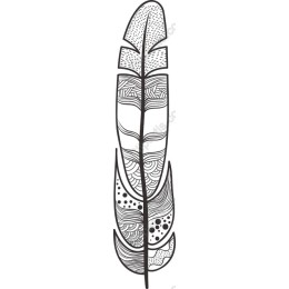 Intricate Feather