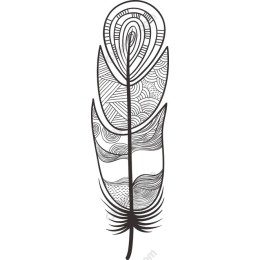 Elegant Feather