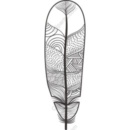 Elegant Feather