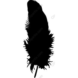 Feather