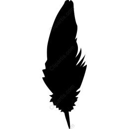 Elegant Feather