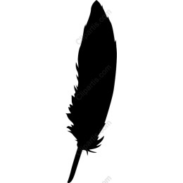 Elegant Feather