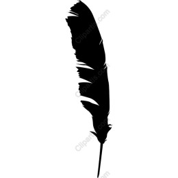 Elegant Black Feather