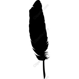 Elegant Feather
