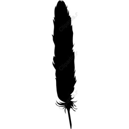 Elegant Feather