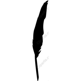 Feather Quill