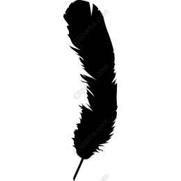 Elegant Feather