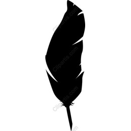 Elegant Black Feather