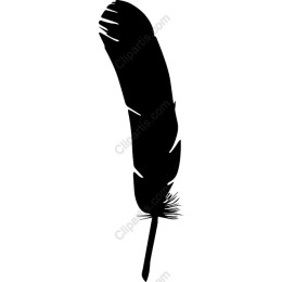 Elegant Black Feather