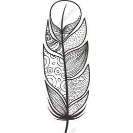 Elegant Feather