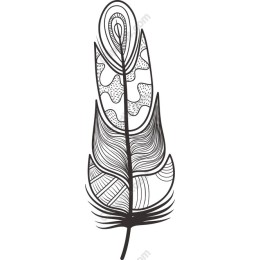 Elegant Feather