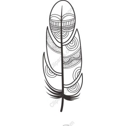 Elegant Intricate Feather