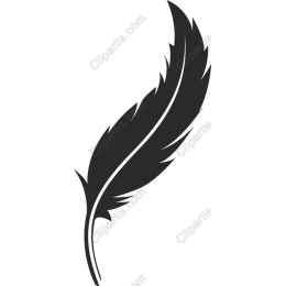 Elegant Feather