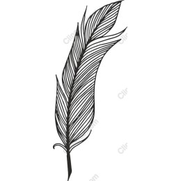 Elegant Feather