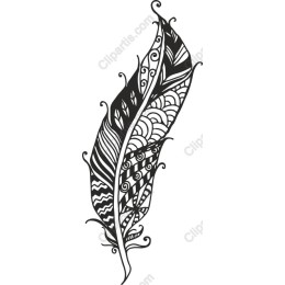 Intricate Feather