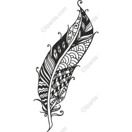 Intricate Feather