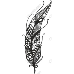 Elegant Black and White Feather