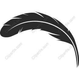 Elegant Feather