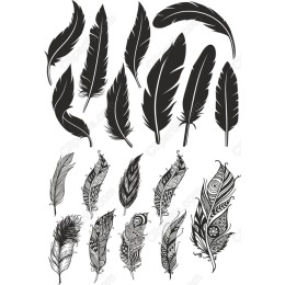 Elegant Feather Bundle