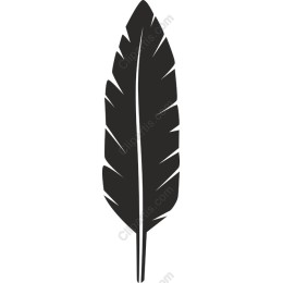 Stylized Feather