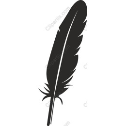 Elegant Feather