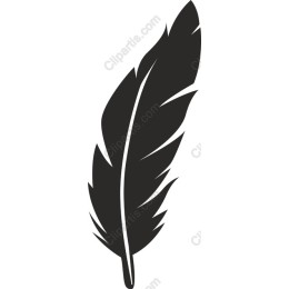 Black Feather
