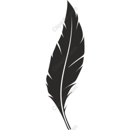Elegant Black Feather