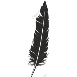 Elegant Black Feather