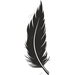 Elegant Feather Drawing