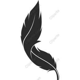 Elegant Feather