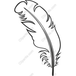 Elegant Feather