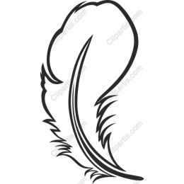 Elegant Feather