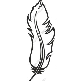 Elegant Feather
