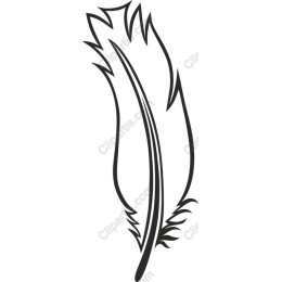 Elegant Feather