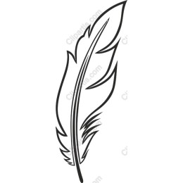 Elegant Feather