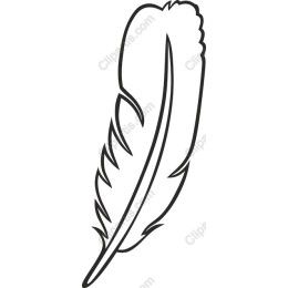 Elegant Feather
