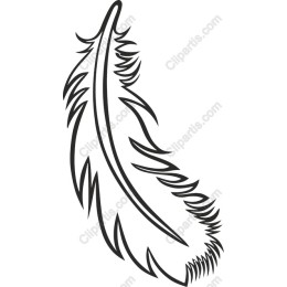 Elegant Feather