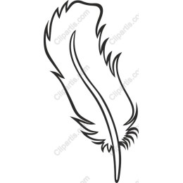 Elegant Feather