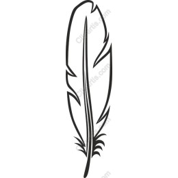 Elegant Feather