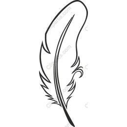 Elegant Feather