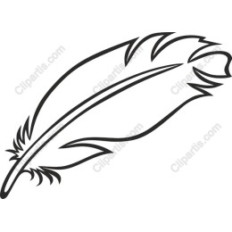 Elegant Feather