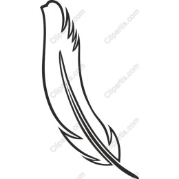 Elegant Feather