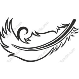 Elegant Feather