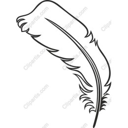 Stylized Feather