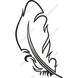 Elegant Feather