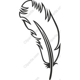 Elegant Feather